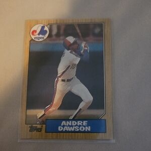 1987 Topps - Andre Dawson #345